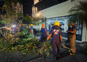 Bomberos y adn retiran 21 árboles caídos tras fuertes ráfagas de viento