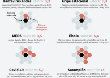Oms confirma cepa de los andes en brote de hantavirus del crucero mv hondius