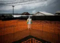 Oms declara emergencia internacional por epidemia de ébola en la república democrática del congo