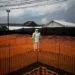 Oms declara emergencia internacional por epidemia de ébola en la república democrática del congo