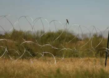 La casa blanca presenta a los inmigrantes irregulares como «alienígenas»