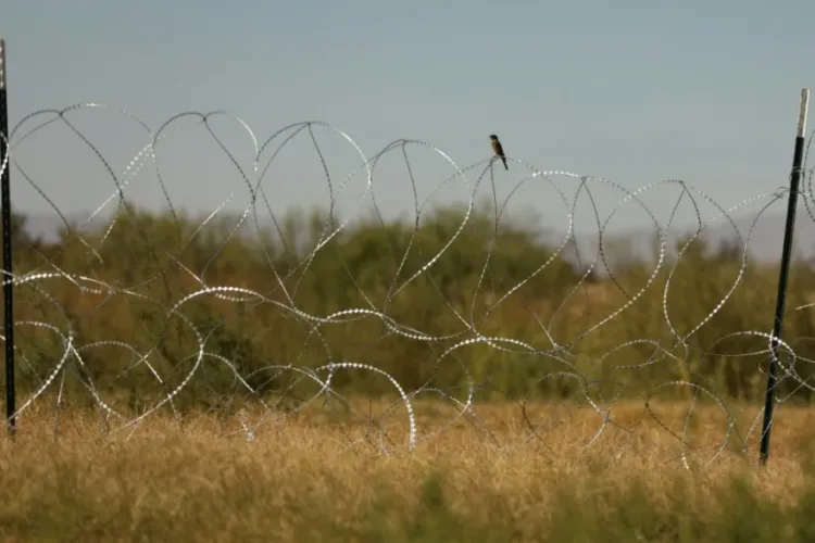 La casa blanca presenta a los inmigrantes irregulares como «alienígenas»