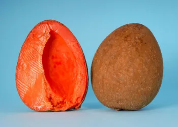 Jamao: el zapote y la transformación de la economía rural