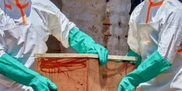 Brote de ébola en el congo: ¿por qué la variante bundibugyo alarma a la oms?