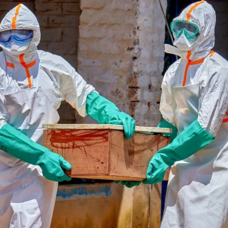 Brote de ébola en el congo: ¿por qué la variante bundibugyo alarma a la oms?