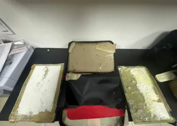 Dncd incauta láminas de presunta cocaína en carpetas con destino a ee. Uu. Y europa