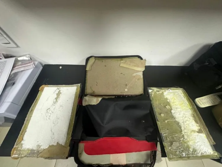 Dncd incauta láminas de presunta cocaína en carpetas con destino a ee. Uu. Y europa