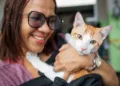 Alcaldía del distrito nacional esteriliza a 100 perros y gatos