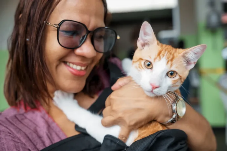 Alcaldía del distrito nacional esteriliza a 100 perros y gatos