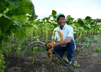 Gobierno impulsa modernización agrícola en san juan con riego por goteo