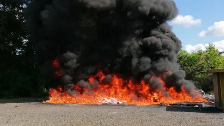 Inacif destruye 960 kg de drogas ocupadas en operativo nacional