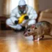 Leptospirosis y hantavirus: diferencias entre estas enfermedades