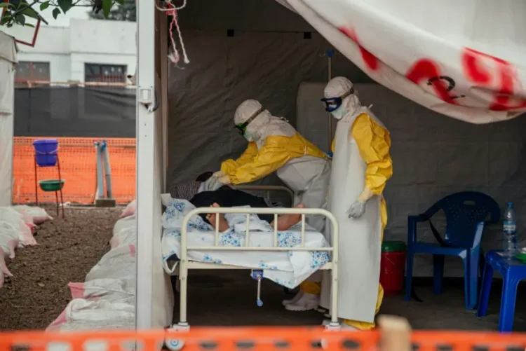 Casi 500 casos confirmados de ébola en África Central, según la OMS Casi 500 casos confirmados de ébola en áfrica central, según la oms
