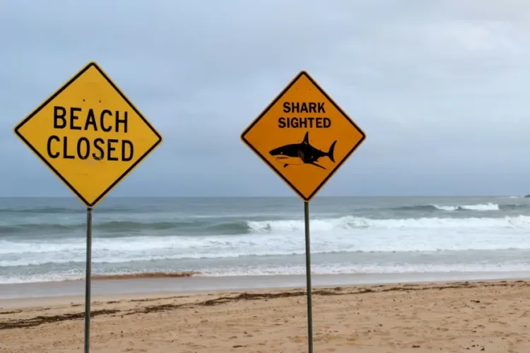 Un tiburón mató a un buceador frente a la costa del oeste de australia