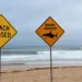 Un tiburón mató a un buceador frente a la costa del oeste de australia