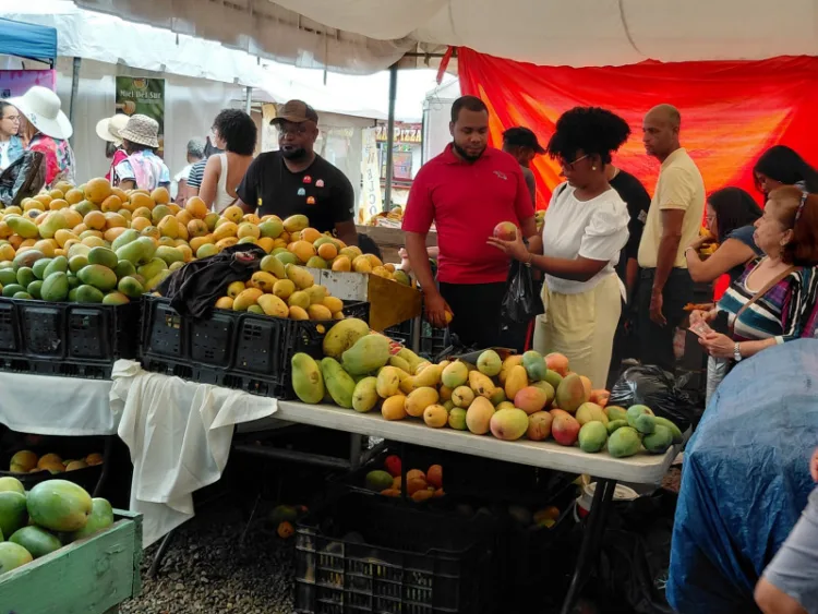 Familias desafían la lluvia este sábado en el cuarto día de la feria del mango en baní