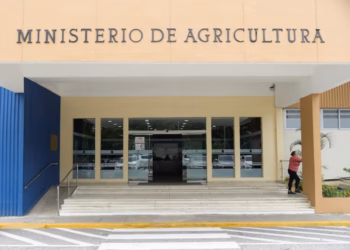 Cámara de cuentas confirma auditoría en el ministerio de agricultura