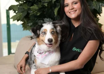 Advierten que hasta el 95 % de las dietas caseras para mascotas presenta deficiencias
