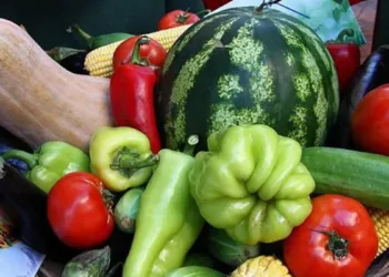 Rusia amplía prohibiciones contra armenia al vetar berenjenas, patatas y frutos secos