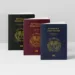 Pasaporte electrónico dominicano es reconocido como el mejor nuevo documento de viaje de américa latina