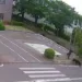 Un oso persigue y ataca a un hombre en japón