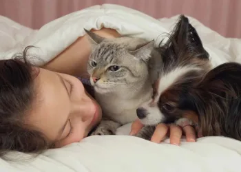 ¿Es bueno dormir con tu mascota? ¿es bueno dormir con tu mascota?